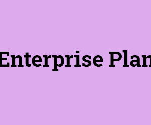 B2B Traffic Acceleration Enterprise Plan Yearly