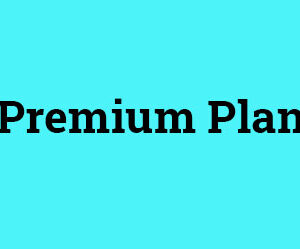B2B Traffic Acceleration Premium Plan Yearly