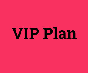 B2B Traffic Acceleration VIP Plan Yearly